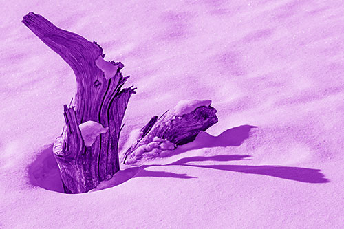 Shadow Casting Tree Trunk Waving Among Snow (Purple Shade)