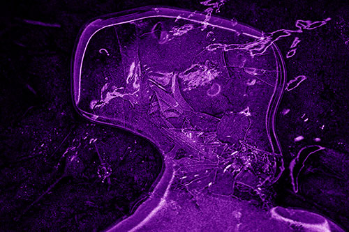 Shattering Ice Head Cracking Smile Along Shore (Purple Shade)