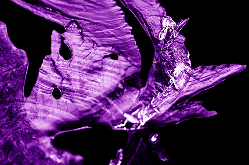 Shocked Jagged Curving Ice Face (Purple Shade)