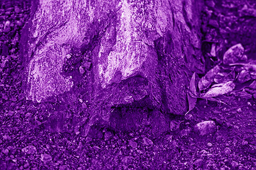 Slime Covered Rock Face Resting Along Shoreline (Purple Shade Photo)