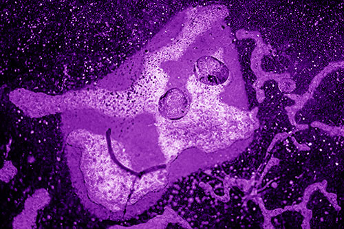 Smiley Bubble Eyed Block Face Below Frozen River Ice Water (Purple Shade Photo)