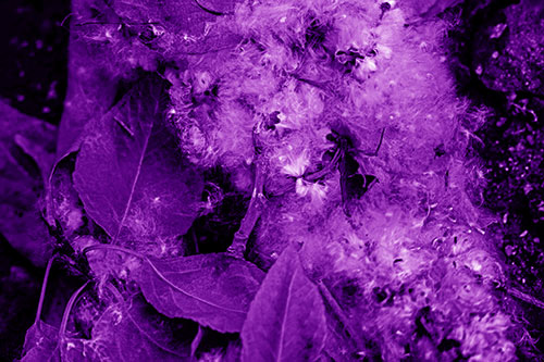 Smiling Cotton Stick Face Among Fallen Leaves (Purple Shade)