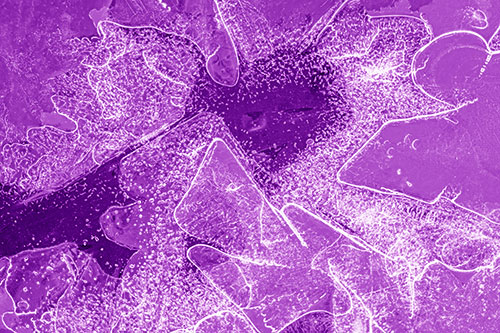 Smug Ice Face Among Frozen River Water (Purple Shade)