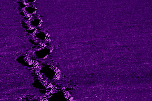Snow Footprints Across Frozen Lake (Purple Shade Photo)