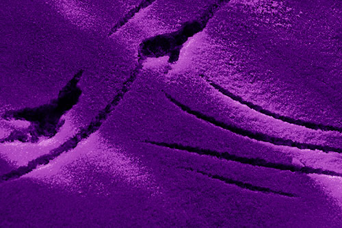Snowy Bird Footprint Claw Marks (Purple Shade Photo)