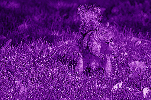 Squirrel Enjoying Breakfast Among Fallen Autumn Leaves (Purple Shade)
