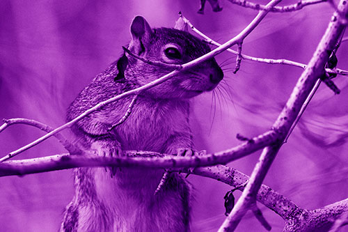 Standing Squirrel Peeking Over Tree Branch (Purple Shade)