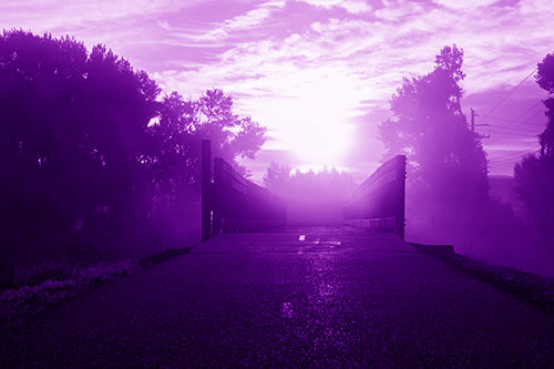 Sun Rises Beyond Foggy Wooden Walkway Bridge (Purple Shade Photo)