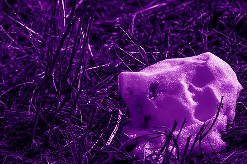 Sunlight Melting Dead Snow Face Head (Purple Shade Photo)