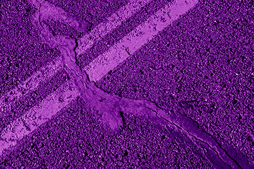 Tar Creeping Over Sidewalk Pavement Lane Marks (Purple Shade Photo)