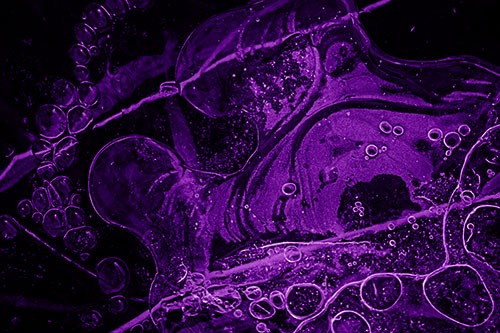 Terrified Screaming Ice Bubble Face Imprisoned Among Sticks (Purple Shade)