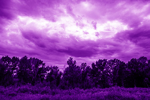 Thunderstorm Clouds Brewing Above Tree Line (Purple Shade)