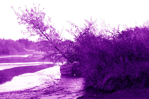 Tilted Fall Tree Over Flowing River (Purple Shade Photo)