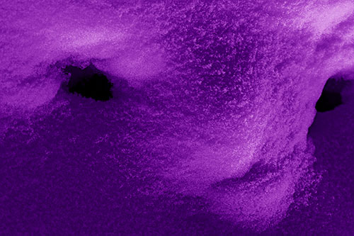 Triangle Powdered Snow Face Atop Soil (Purple Shade)