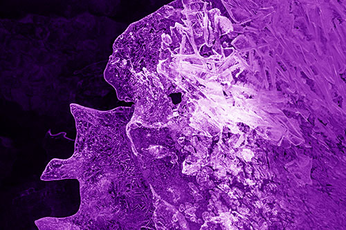 Two Faced Optical Illusion Ice Face Hanging Above River (Purple Shade)