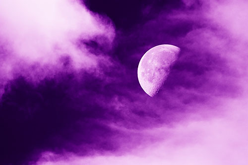 Upside Down Creature Cloud Moon Gazing (Purple Shade Photo)