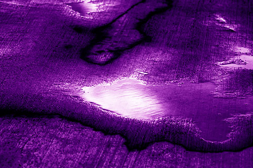 Water Puddles Dissipating After Rainstorm (Purple Shade Photo)