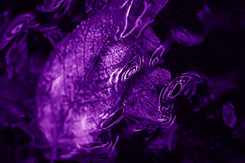 Water Ripple Faced Leaf In Submerged Trance (Purple Shade)