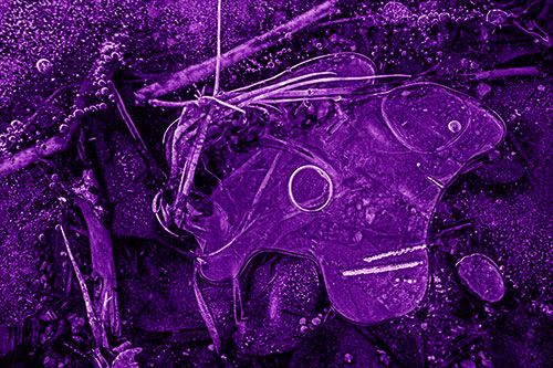 Wide Eyed Bubble Ice Face Looking Downward (Purple Shade)