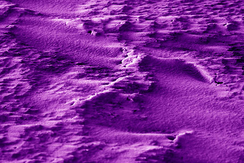Wind Blowing Across Jagged Frozen Snow Drift (Purple Shade Photo)