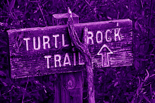 Wooden Turtle Rock Trail Sign (Purple Shade Photo)