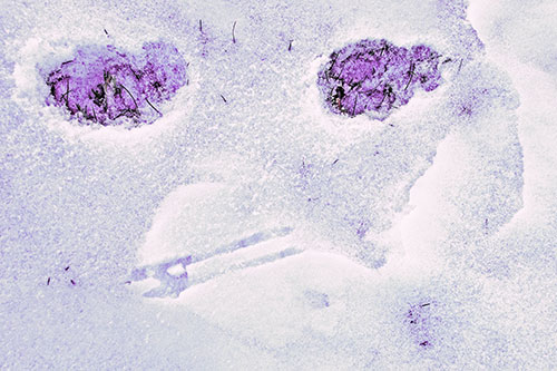 Beak Mouthed Footprint Face Among Snow (Purple Tint)
