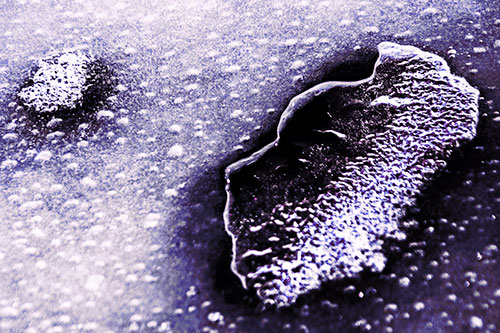 Bubble Head Face Peeking Through Ice (Purple Tint Photo)