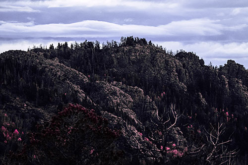 Cloudy Summit Trailhead Mountain Top (Purple Tint Photo)