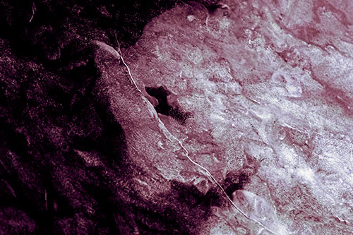 Cracking Demonic Ice Face Pig (Purple Tint Photo)