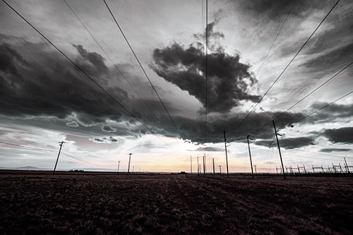Creature Cloud Formation Above Powerlines (Purple Tint Photo)