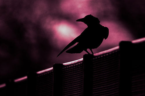 Crow Silhouette Atop Guardrail (Purple Tint Photo)