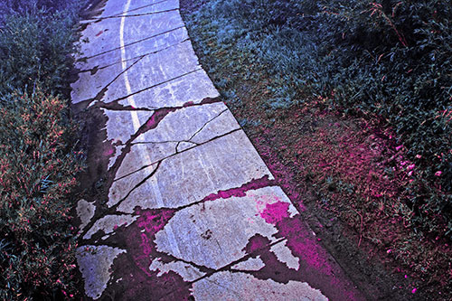 Curving Muddy Concrete Cracked Sidewalk (Purple Tint Photo)