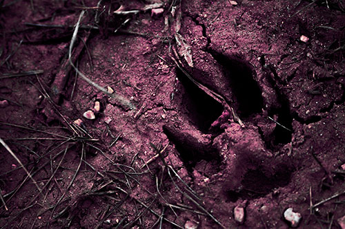 Deep Muddy Dog Footprint (Purple Tint Photo)