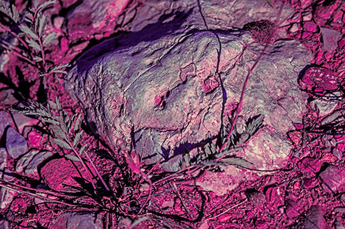 Demonic Leaf Mouthed Rock Face Snarling Among Dirt (Purple Tint)