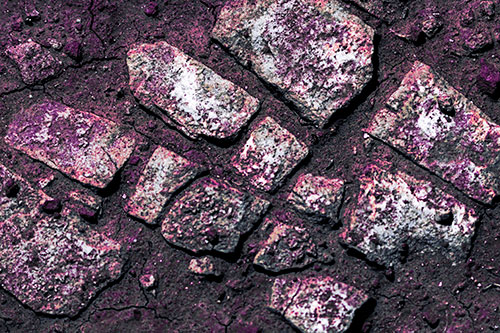 Dirt Covered Stepping Stones (Purple Tint Photo)