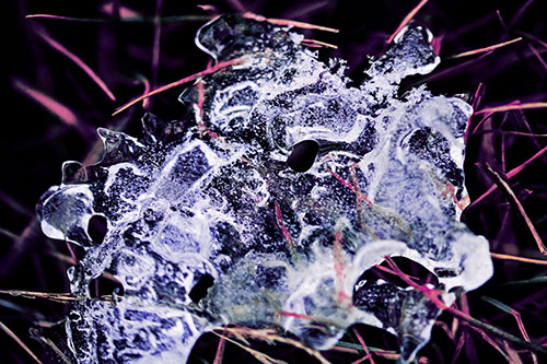 Dismayed Ice Dragon Face Frozen Among Piercing Grass Blades (Purple Tint)