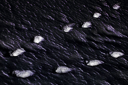 Distancing Snow Footprints (Purple Tint)