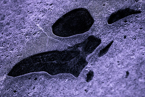 Distorted Skull Face Within Frozen Ice (Purple Tint Photo)
