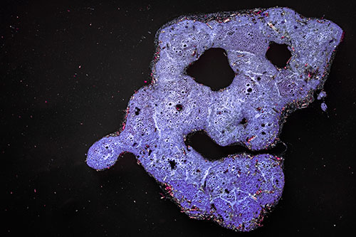 Droopy Smiling Bubble Face Floating Above Soil (Purple Tint)
