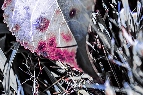 Eye Winking Shadow Smirking Leaf Face (Purple Tint)