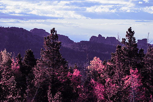 Fall Colors Emerge Infront Of Mountain Range (Purple Tint Photo)