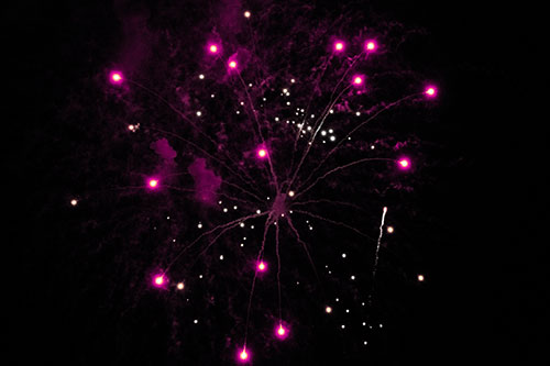 Firework Light Orbs Free Falling After Explosion (Purple Tint Photo)