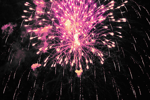Fireworks Explosion Lights Night Sky Ablaze (Purple Tint Photo)