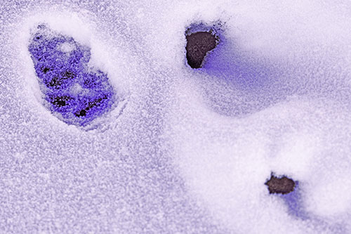 Footprint Eye Snow Face Atop Rock Surface (Purple Tint)