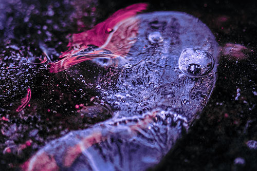 Frozen Distorted Bubble Eyed Ice Face (Purple Tint)