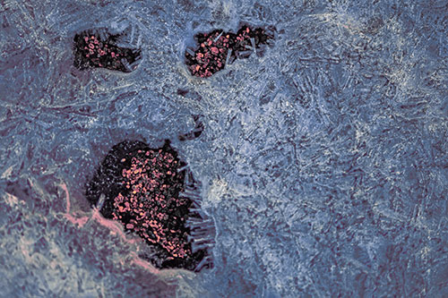 Frozen Ice Screaming Pebble Soil Face (Purple Tint Photo)