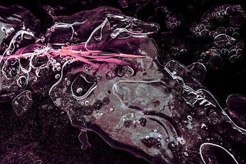 Frozen Shapeshifting Pupil Bubble Eyed Ice Face (Purple Tint)