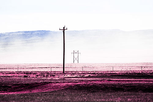 Heavy Fog Hiding Mountain Range Behind Powerlines (Purple Tint Photo)