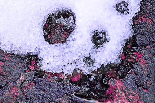 Ice Skull Snow Face Melting Atop Rock (Purple Tint Photo)