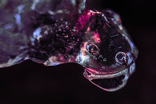 Joyful Frozen Bubble Eyed River Ice Face Creature (Purple Tint Photo)